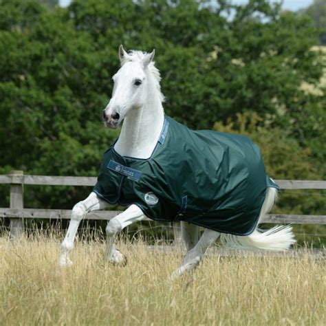 Cheval au pré avec une couverture