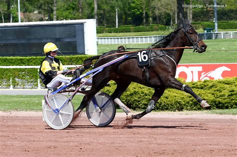 Un cheval de trot attelé avec un sulky sur une piste