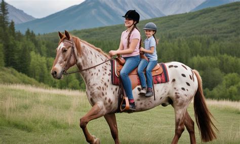Cheval Appaloosa dans un paysage naturel