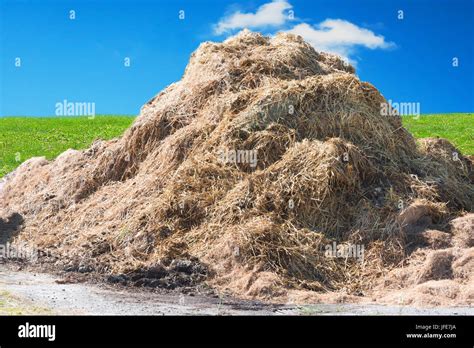 Un tas de fumier de ferme