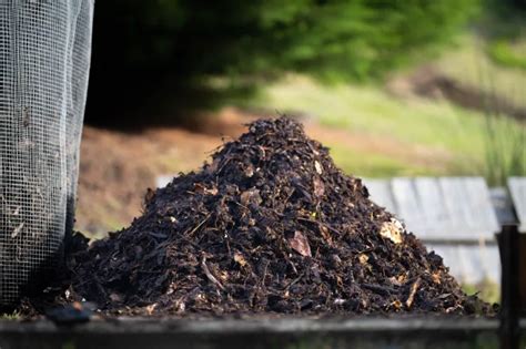 Une tas de compost bien formé