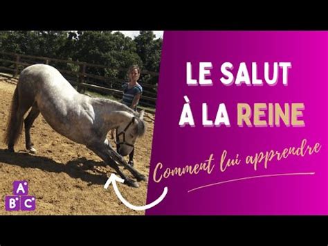 Cheval effectuant le salut de la reine