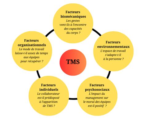 Diagramme expliquant les différents facteurs d'analyse d'un cheval de trot