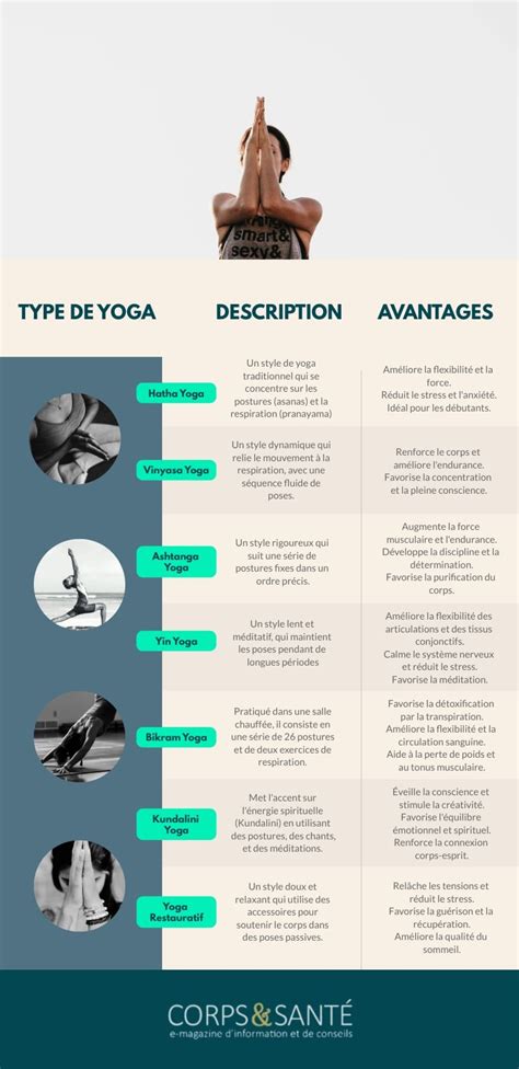Infographie comparant différents types de rênes et leurs utilisations