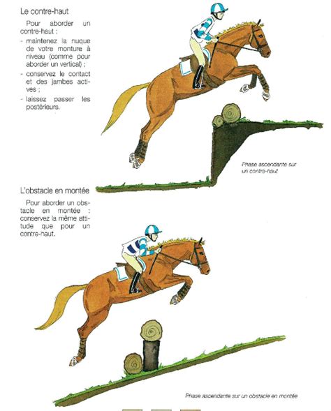 Cheval montant une petite butte en contre-haut