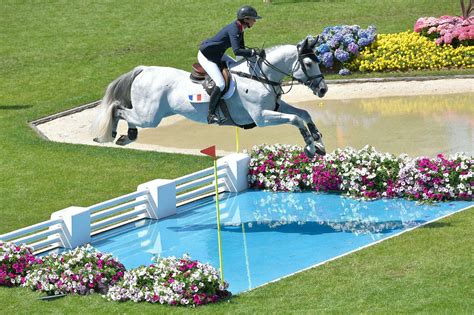 Équipe de France de saut d'obstacles des années 1990