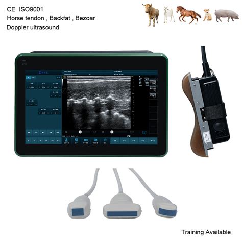 Vétérinaire utilisant un échographe sur un cheval