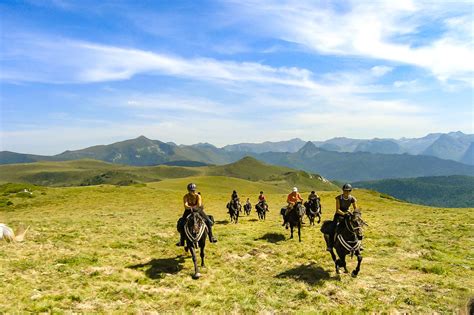 Cheval Mérens au galop en montagne