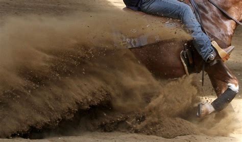 Cheval effectuant un arrêt glissé en reining