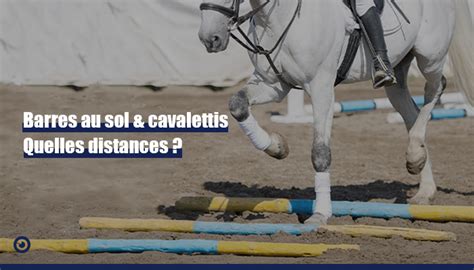 Cheval travaillant en liberté sur des barres au sol
