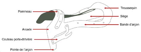 Gros plan sur un arçon rigide de selle western
