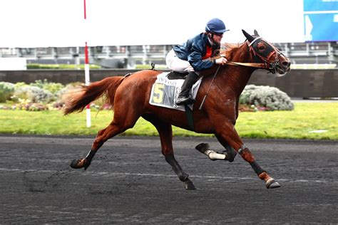Jockey au trot monté