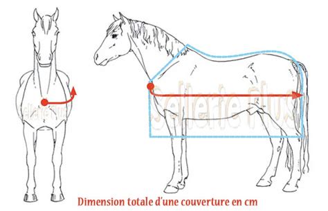 Schéma expliquant comment mesurer un cheval pour une couverture