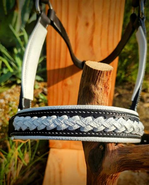 Gros plan sur un tressage épi sur une muserolle de licol