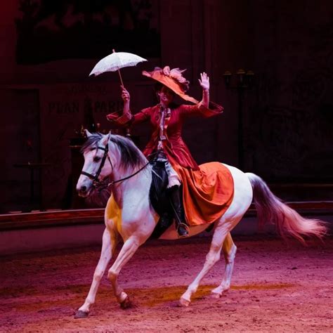 Costumes de spectacle équestre pour un carrousel