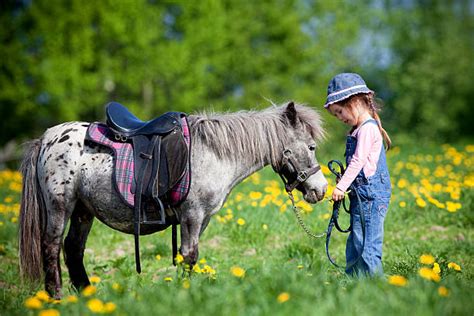 Enfant caressant un poney