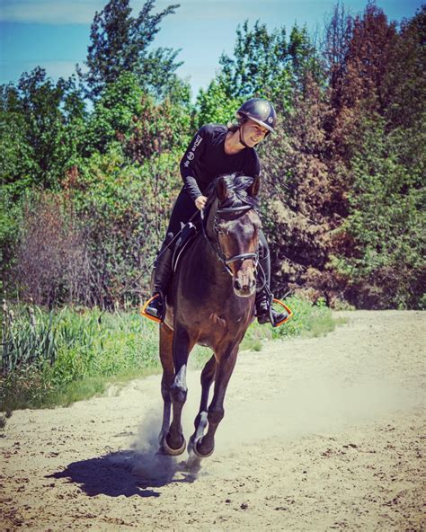 Cavalier tournant à main gauche dans une carrière