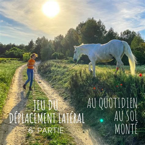 cheval faisant un déplacement latéral