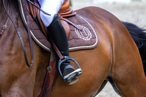 cavalier travaillant sans étriers