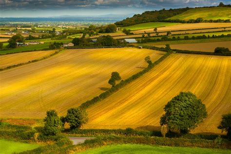 Paysage agricole avec des champs et une ferme
