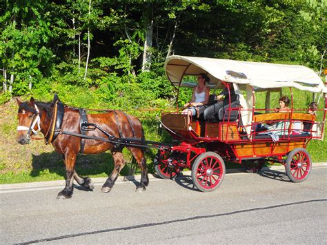 Calèche tirée par un cheval comtois
