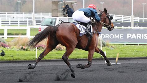 Un Trotteur Français en pleine course sur un hippodrome