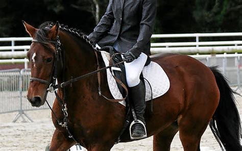 Poney participant à une épreuve de dressage