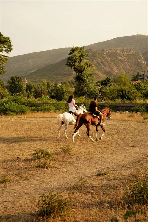 Enfants faisant du cheval dans un paysage de montagne