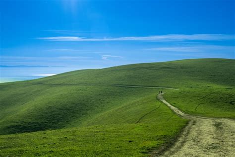 Chemin de terre traversant une prairie verdoyante