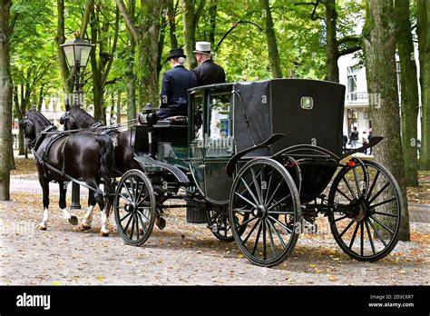 Calèche traditionnelle avec chevaux