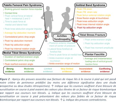 Schéma illustrant les différentes contraintes biomécaniques lors de la course à pied