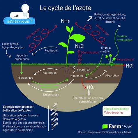 Schéma du cycle de l'azote dans le sol avec des apports de fumier