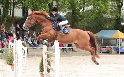 Axelle Borel en action lors d'une compétition d'équitation