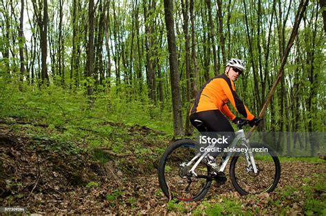 Cycliste sur un sentier de forêt, regardant une carte
