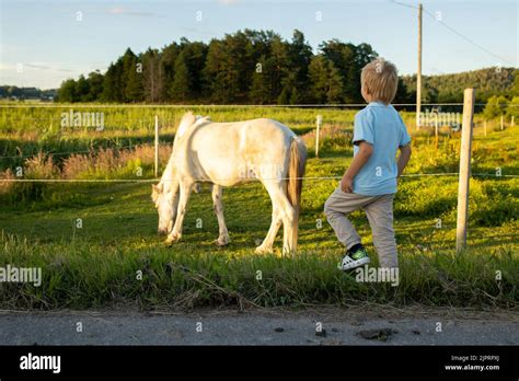 Enfant caressant un poney dans un pré