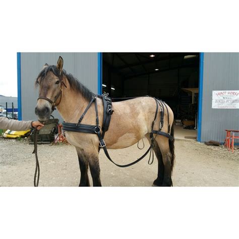 Harnais de cheval antique en bronze