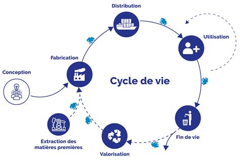 Infographie montrant le cycle de vie et les besoins d'une dragodinde