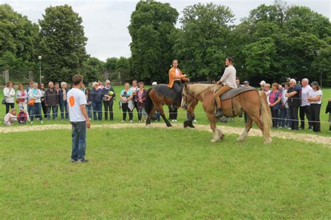 Foule spectateurs équestre