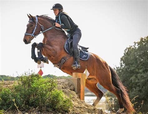 Cavaliers lors d'une épreuve de TREC