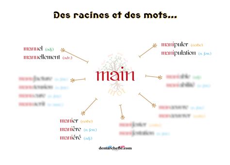 Infographie montrant la relation entre les mots 