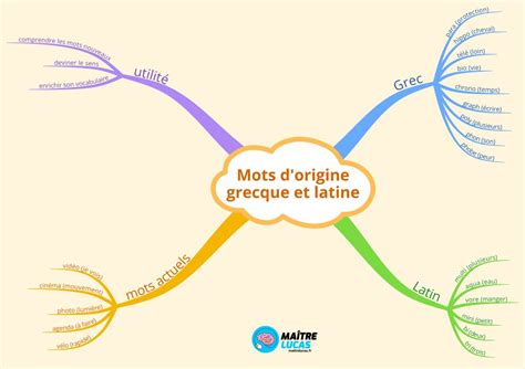 Carte conceptuelle reliant les mots d'origine grecque et latine commençant par 