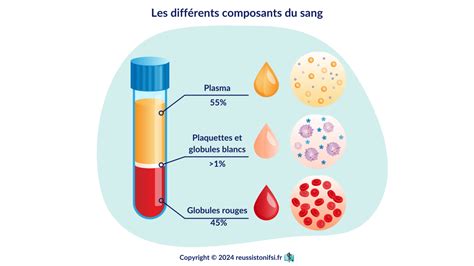 Graphique comparant l'analyse sanguine et l'analyse des crins