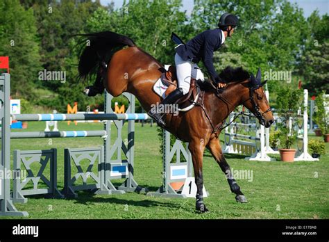 Cheval sautant un obstacle