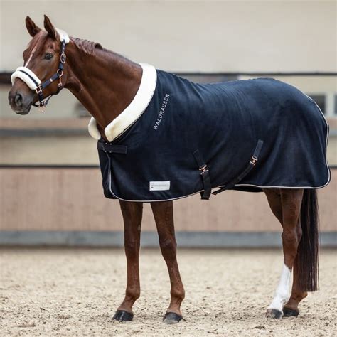 Cheval portant une chemise polaire marine