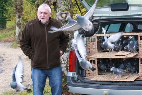 Homme d'affaires et éleveur de pigeons