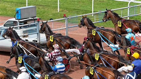 Un cheval au départ d'une course avec l'autostart