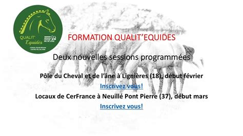 Logo du label Qualit'Equidés