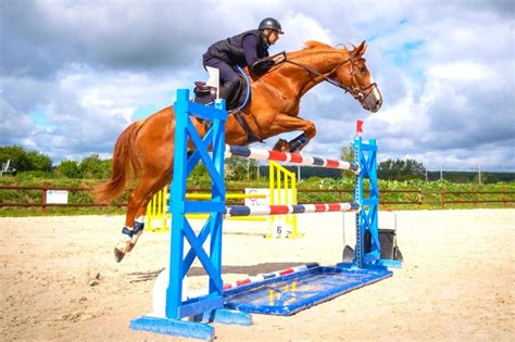 Cheval et cavalier franchissant un obstacle
