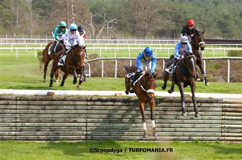 Cheval franchissant une haie lors d'une course d'obstacles