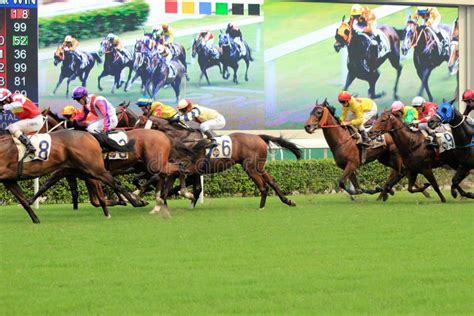 Photofinish d'une course de chevaux